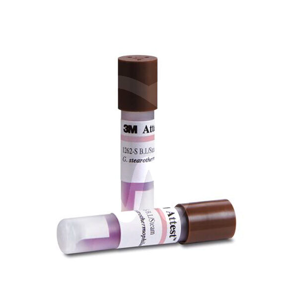 Attest prevención y diagnóstico solventum (3m)