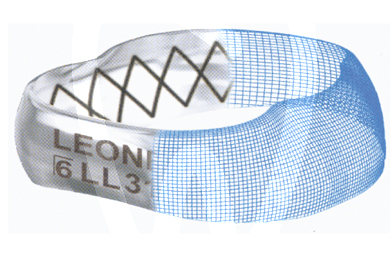 Bandas anatomicas con tubos mim presoldados leone bandas leone