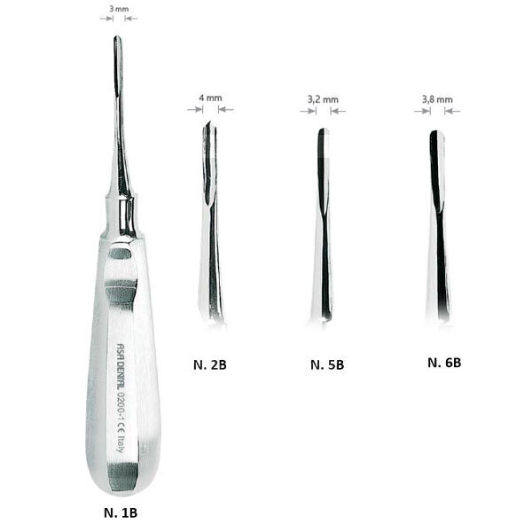 Botadores bein instrumental asa dental