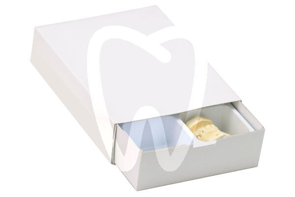 Caja modelo alta cajón plástico cajas mestra