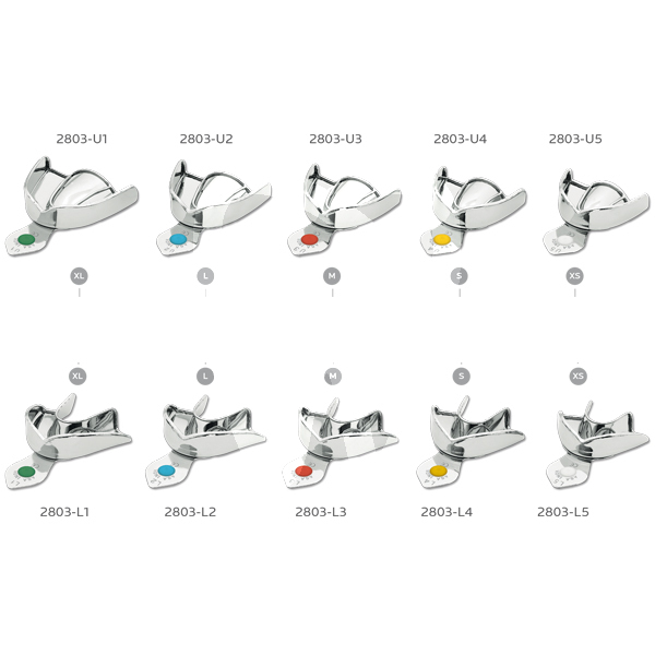 Cubetas lisas reborde superiores asa impresión y prótesis asa dental