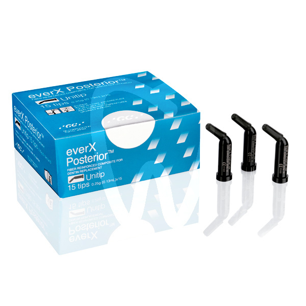 Ever x posterior 15 unitips reconstrucción gc