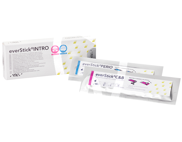 Everstick intro kit reconstrucción gc