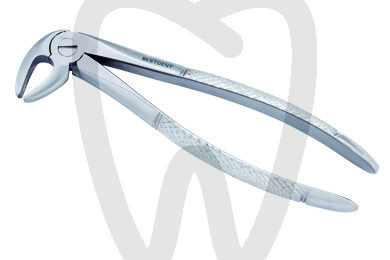 Forceps n.13 instrumental bestdent