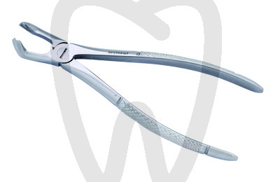 Forceps n.79 instrumental bestdent