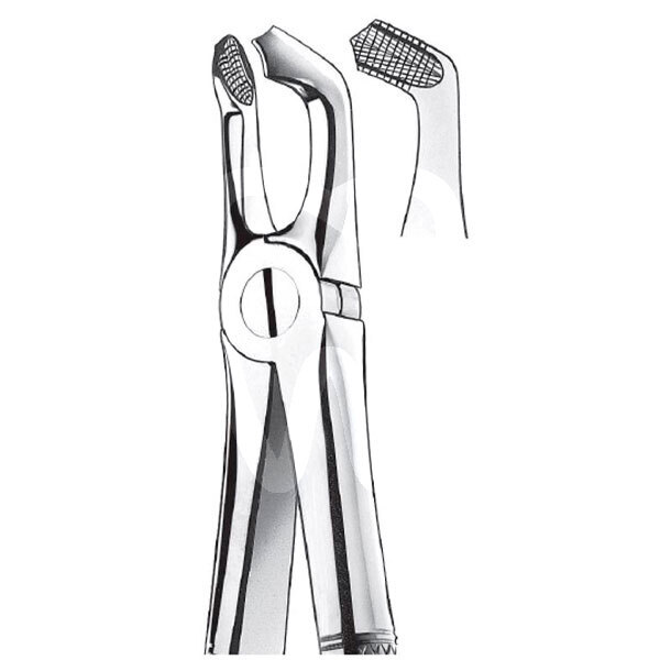 Forceps n.79 instrumental carl martin