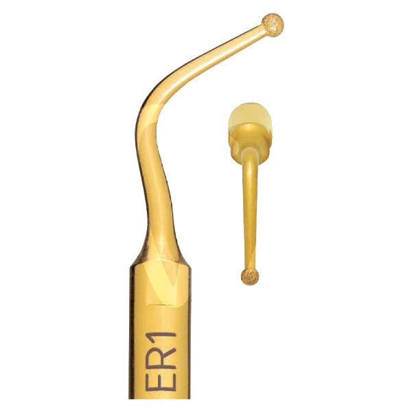 Insert er1 mectron profilaxis mectron