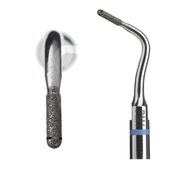 Insert pm1 f02250 satelec profilaxis acteon