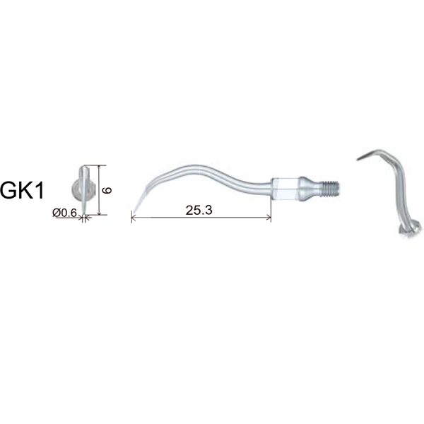 Insert woodpecker gk1 profilaxis woodpecker