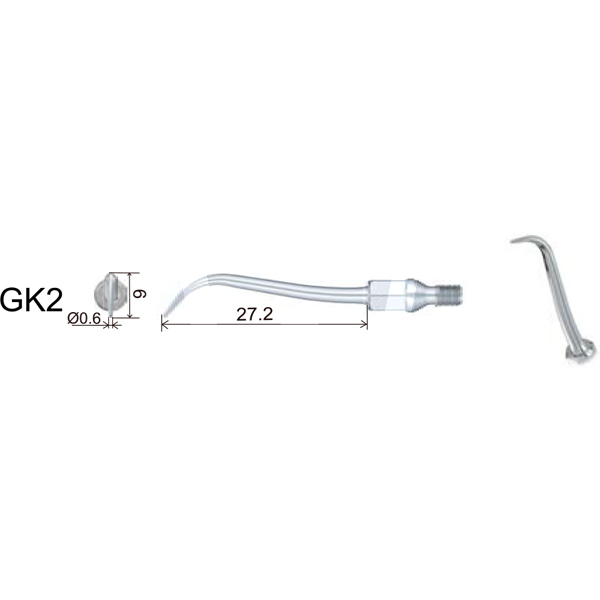 Insert woodpecker gk2 profilaxis woodpecker