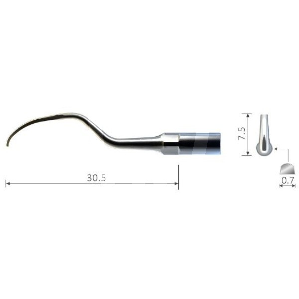 Inserto bestdent eh3 ems profilaxis bestdent