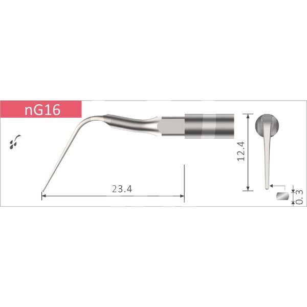 Inserto bestdent n.g16 nsk profilaxis bestdent