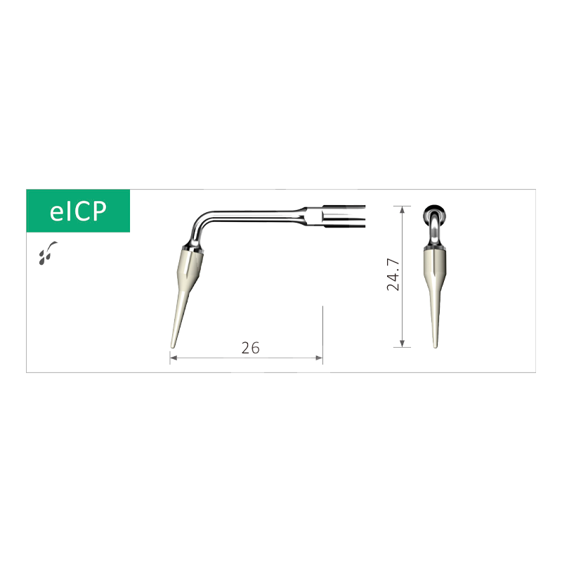 Inserto nº eicp bestdent (ems) profilaxis bestdent