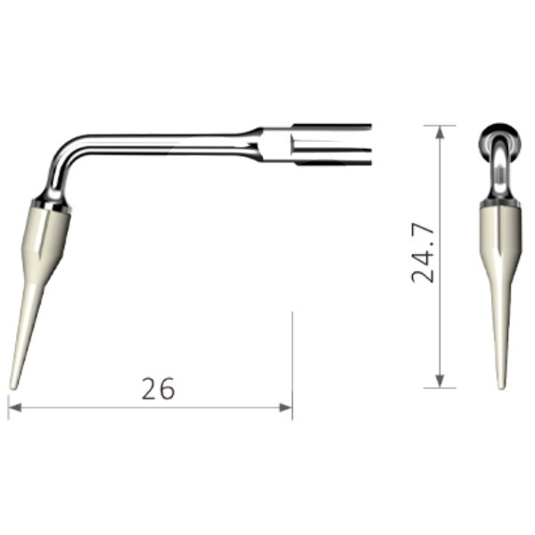 Inserto nº eicp bestdent (ems) profilaxis bestdent