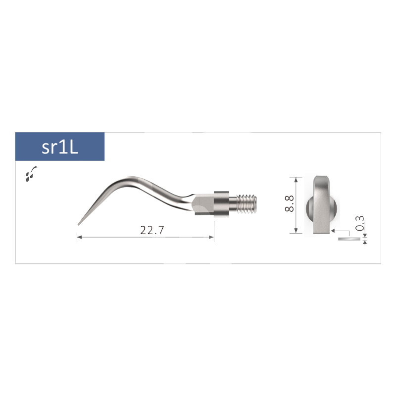 Inserto nº sr 1l bestdent (sirona) profilaxis bestdent