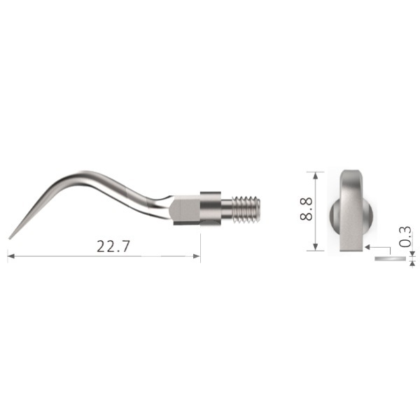 Inserto nº sr 1l bestdent (sirona) profilaxis bestdent