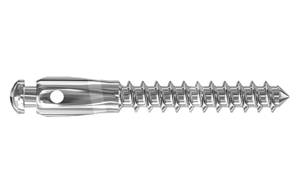 Mini mplantes con gancho cabeza alta micro/mini implantes leone