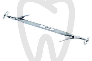 Portamalgamas doble del-tip instrumental bestdent