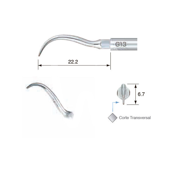 Punta ultrasonidos g13 profilaxis nsk