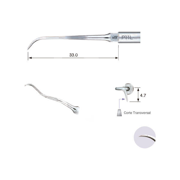 Punta ultrasonidos p11l profilaxis nsk