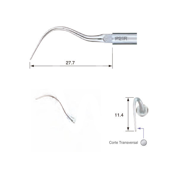 Punta ultrasonidos p21r profilaxis nsk