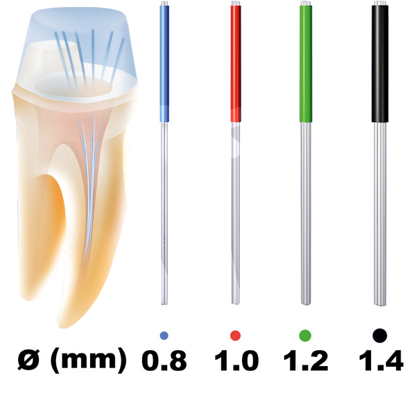Rebilda post gt  nº4 ( ø 0,8) reconstrucción voco
