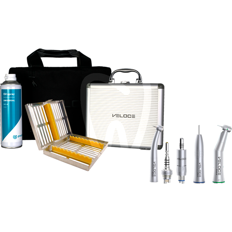 Veloce universidades grupo 4 con luz estudiantes veloce